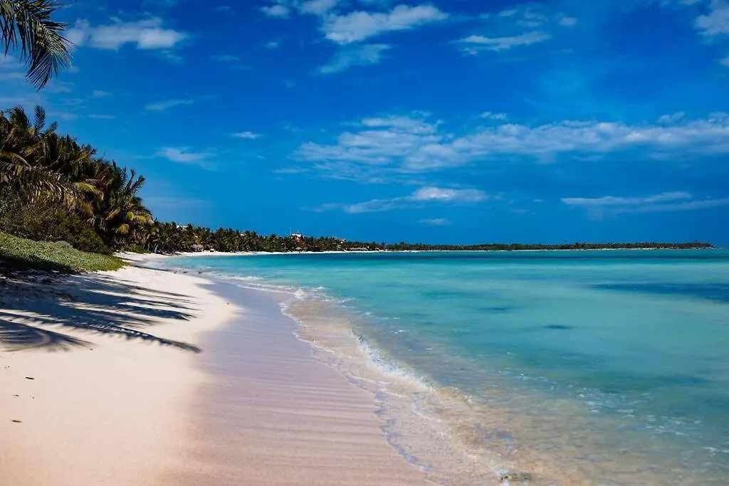 Luxury 3 Bed & Bath Eco-Chic Villa - Private Pool Tulum